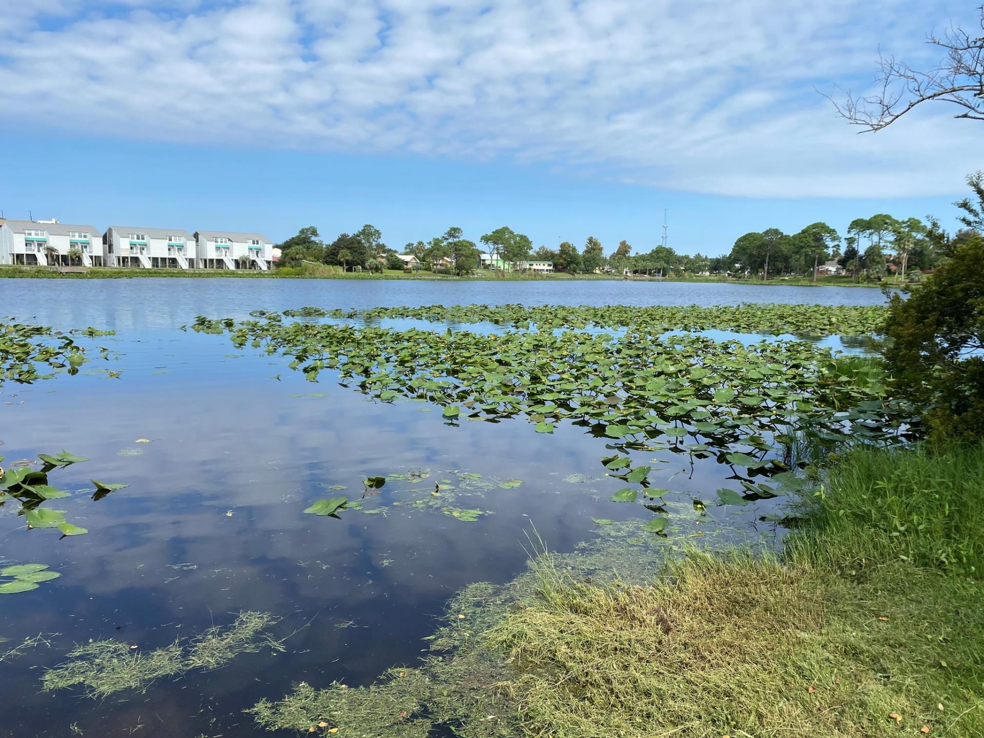 Lullwater Lake