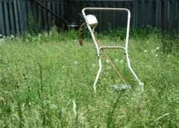 Uncut grass with lawn mower